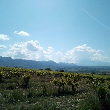 Gite La Fleur D Olivier Nyons Zewnętrze zdjęcie