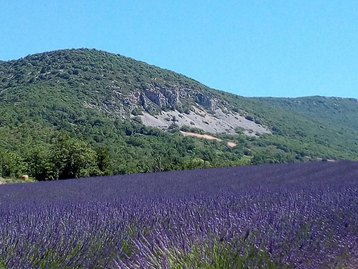Gite La Fleur D Olivier Nyons Zewnętrze zdjęcie