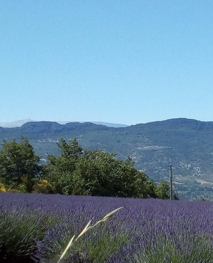 Gite La Fleur D Olivier Nyons Zewnętrze zdjęcie